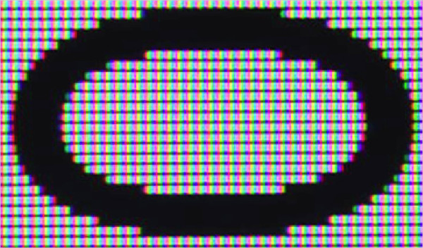 1bb6568f2da6e3f0589fabcbf24a00e3_1789648245_0724.jpg